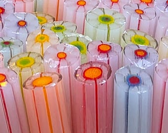 NEW COE 96  Murrini Flower: Rainbow Chaser - 1 oz Cane/Sticks