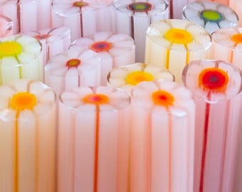 COE 90 Murrini Flower: Chasing Rainbows - 1 oz Cane/Sticks