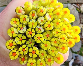 coe 90 Flower: Jungle Sunrise - 1 oz Murrini Murrine Millefiori Vitrigraph Cane - MINZABELLA MURRINI by Glassworks Northwest