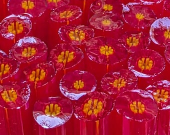 COE 96 Murrini Flower: Smarty Pants - 1 oz Cane/Sticks