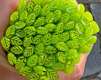 COE 90 Murrini Leaf: New Growth Green - 1 oz Cane/Sticks