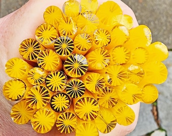 coe 96 Starburst or Pom Pom: Bright Yellow - 1 oz Murrini Murrine Millefiori Vitrigraph Cane - MINZABELLA MURRINI by Glassworks Northwest