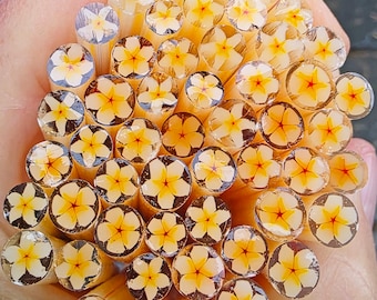 COE 96 Murrini Flower: Pretty Plumeria - 1 oz Cane/Sticks