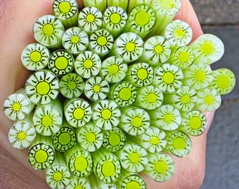 COE 90 Murrini Flower: Lime Up - 1 oz Cane/Sticks