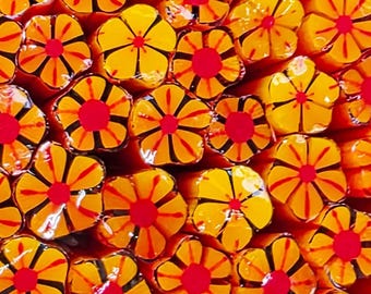 COE 96 Murrini Flower: Zipity Do Dah - 1 oz Cane/Sticks