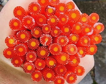 coe 96 Flower Whirlies: Dazzling Orange - 1 oz Murrini Murrine Millefiori Vitrigraph Cane - MINZABELLA MURRINI by Glassworks Northwest