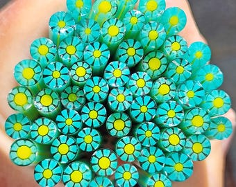 coe 96 Flower: Easy Breezy - 1 oz Murrini, Murrine, Millefiori, Vitrigraph Cane - MINZABELLA MURRINI by Glassworks Northwest
