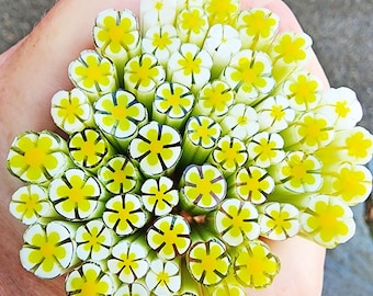 coe 90 Flower: Lime Sweetness - 1 oz Murrini Murrine Millefiori Vitrigraph Cane - MINZABELLA MURRINI by Glassworks Northwest