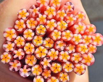 COE 90 Murrini Flower: Pink Plumeria - 1 oz Cane/Sticks