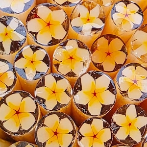 COE 96 handgemaakte bloem Murrini 'Pretty Plumeria' | 1 oz rietsuiker | Compatibel smeltbaar glas aan de oceaan voor fuseren, sieraden en mozaïek