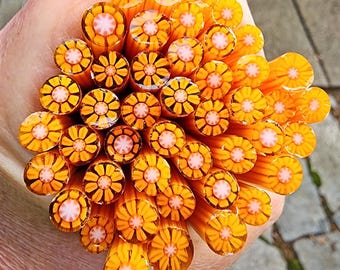 coe 90 Flower: Island Paradise - 1 oz Murrini Murrine Millefiori Vitrigraph Cane - MINZABELLA MURRINI by Glassworks Northwest