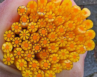 COE 90 Murrini Flower Murrini: Live It Up - 1 oz Cane/Sticks