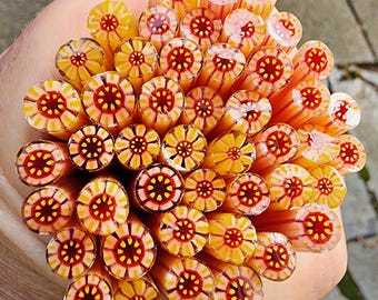coe 90 Flower: Getaway - 1 oz Murrini Murrine Millefiori Vitrigraph Cane - MINZABELLA MURRINI by Glassworks Northwest
