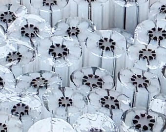 COE 96 Murrini Flower: Stellar - 1 oz Cane/Sticks