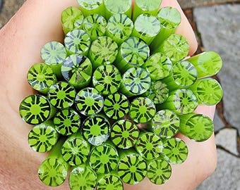 coe 96 Flower: Out of This World - Amazon - 1 oz Murrini, Murrine, Millefiori, Vitrigraph Cane - MINZABELLA MURRINI by Glassworks Northwest