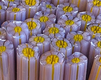 COE 96 Murrini Flower: Be Clever - 1 oz Cane/Sticks