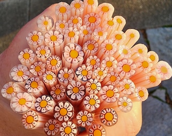 coe 90 Flower: Strawberry Lemonade - 1 oz Murrini Murrine Millefiori Vitrigraph Cane - MINZABELLA MURRINI by Glassworks Northwest