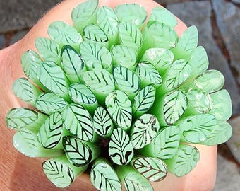 coe 90 Sm/Med Leaf: Pistachio Green - 1 oz Murrini Murrine Millefiori Vitrigraph Cane - MINZABELLA MURRINI by Glassworks Northwest