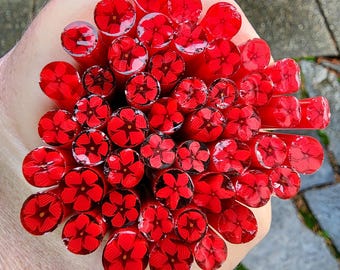 coe 96 Flower: I Love You - 1 oz Murrini, Murrine, Millefiori, Vitrigraph Cane - MINZABELLA MURRINI by Glassworks Northwest