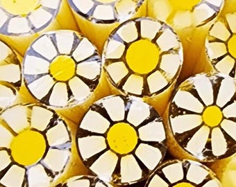 COE 96 Murrini Flower: Favorite Daisy - 1 oz Cane/Sticks