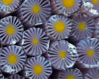 NEW COE 96 Murrini Flower: Purple Aster - 1 oz Cane/Sticks - Opaque Purple Petals, Opaque Yellow Center - September Birth-month Flower Aster