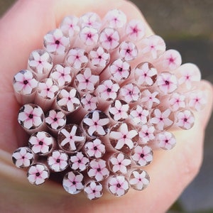Mega Millefiori Assortment - 90 Coe