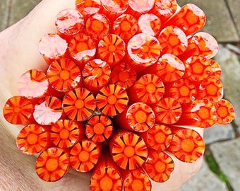 coe 96 Flower: Persimmon - 1 oz Murrini Murrine Millefiori Vitrigraph Cane - MINZABELLA MURRINI by Glassworks Northwest