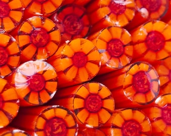 COE 96 Handmade Flower Murrini "OMG Orange" | 1 oz Cane | Oceanside Compatible Fusible Glass for Fusing, Jewelry, Mosaics
