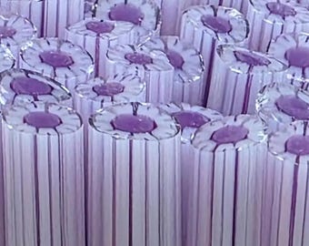 COE 90 Murrini Flower: Spontaneous - 1 oz Cane/Sticks