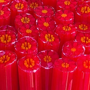 COE 96 Handmade Flower Murrini "Tee Hee Hee" | 1 oz Cane | Oceanside Compatible Fusible Glass for Fusing, Jewelry, Mosaics