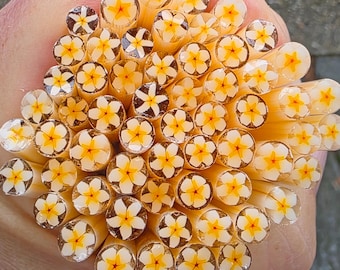 COE 90 Flower Murrini: Plumeria - 1 oz Cane/Sticks