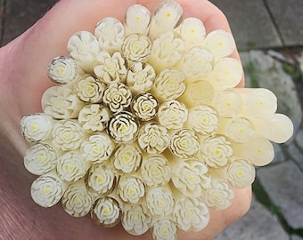 coe 90 Flower: Pale Yellow Rose - 1 oz Murrini Murrine Millefiori Vitrigraph Cane - MINZABELLA MURRINI by Glassworks Northwest