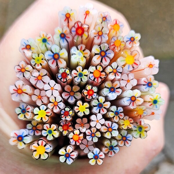 coe 96 Flower: Dainty Rainbow - 1 oz Murrini Murrine Millefiori Vitrigraph Cane- MINZABELLA MURRINI by Glassworks Northwest
