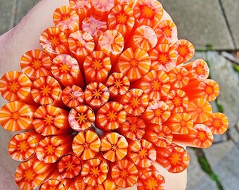coe 90 Flower: Orange You Glad - 1 oz Murrini Murrine Millefiori Vitrigraph Cane - MINZABELLA MURRINI by Glassworks Northwest