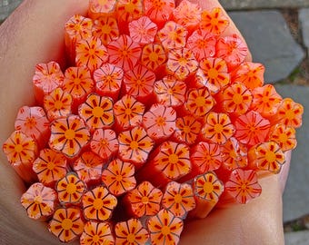 COE 96 Murrini Flower: Play More - 1 oz Cane/Sticks