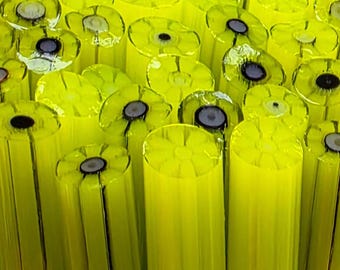 COE 96 Murrini Flower: Gecko - 1 oz Cane/Sticks