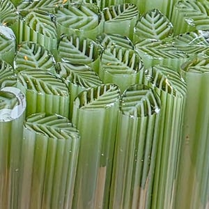 COE 90 Handmade Leaf Murrini "Rage for Sage" | 1 oz Cane | Bullseye Compatible Fusible Glass for Fusing, Jewelry, Mosaics