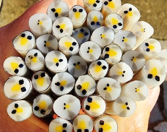 coe 96 Seagull: Sammy - 1 oz Murrini Murrine Millefiori Vitrigraph Cane - MINZABELLA MURRINI by Glassworks Northwest