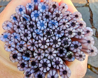 coe 90 Flower: Dusty Lilac - 1 oz Murrini Murrine Millefiori Vitrigraph Cane - MINZABELLA MURRINI by Glassworks Northwest