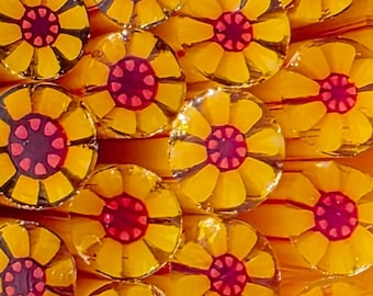 NEW COE 90 Murrini Flower: I Could Just Eat You Up - 1 oz Cane/Sticks