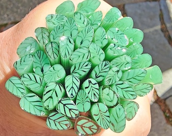 coe 90 Med Leaf: Seafoam Green - 1 oz Murrini Murrine Millefiori Vitrigraph Cane - MINZABELLA MURRINI by Glassworks Northwest