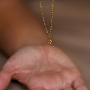 Könnte beinhalten: Eine goldene Kettenkette mit einem kleinen Schlangenanhänger.