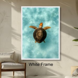 Sea Turtle Swimming Wall Art, Ocean Wildlife Print, Marine Life Decor, Aquatic Animal Underwater Sea Creature Wall Art