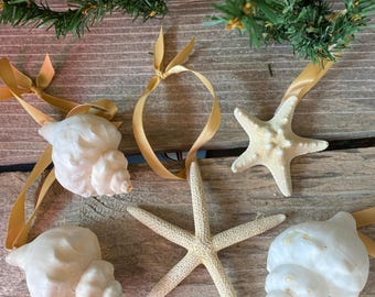 Handmade Sea Shell Christmas Ornaments, Beach Holiday Decor, Set of 5
