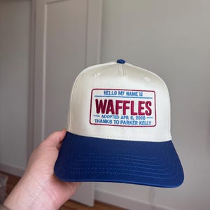 Puede incluir: Gorra de b&eacute;isbol con corona blanca y visera azul. La gorra presenta un parche rectangular con el texto "HELLO MY NAME IS WAFFLES" y detalles de adopci&oacute;n. Un bot&oacute;n azul est&aacute; en la parte superior.