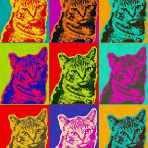 以下が含まれることがあります： ポップアートスタイルのプリントで、9匹の猫の肖像画をグリッド状に配置。各猫は、赤、黄、青、緑、紫など、ユニークなカラーパレットで表現されており、鮮やかで人目を引くデザインとなっています。