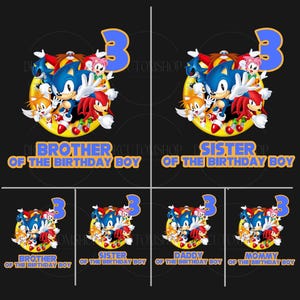 Personalized Birthday Boy PNG, Custom Family Birthday Png, Family Hedgehog Png, Hedgehog Mommy Png, Hedgehog Dad Brother, Gift For Birthday