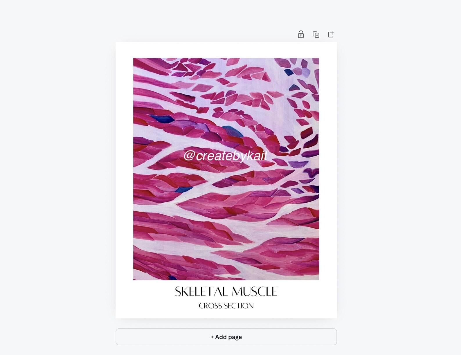 skeletal-muscle-cells-in-cross-section-art-print-with-label-etsy