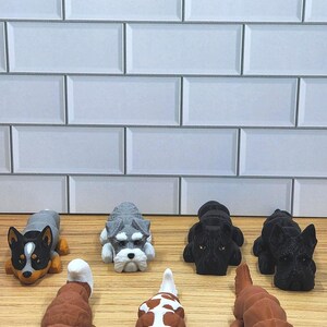 Könnte beinhalten: Eine Sammlung von acht kleinen, 3D-gedruckten Hundefiguren. Die Figuren sind in verschiedenen Rassen, darunter ein Husky, ein Zwergschnauzer, ein Cavalier King Charles Spaniel und ein Labrador Retriever. Die Figuren liegen alle in einer liegenden Position und sind in einer Reihe auf einer Holzoberfläche angeordnet.