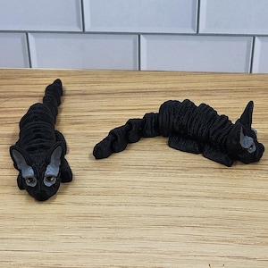 May include: Two black Cornish Rex cats are lying on a wooden surface. The cats have short, curly fur and are looking at the camera.